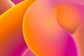 HTML Form Etiketleri: Kapsamlı Bir Rehber